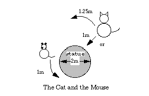 cat and mouse diagram